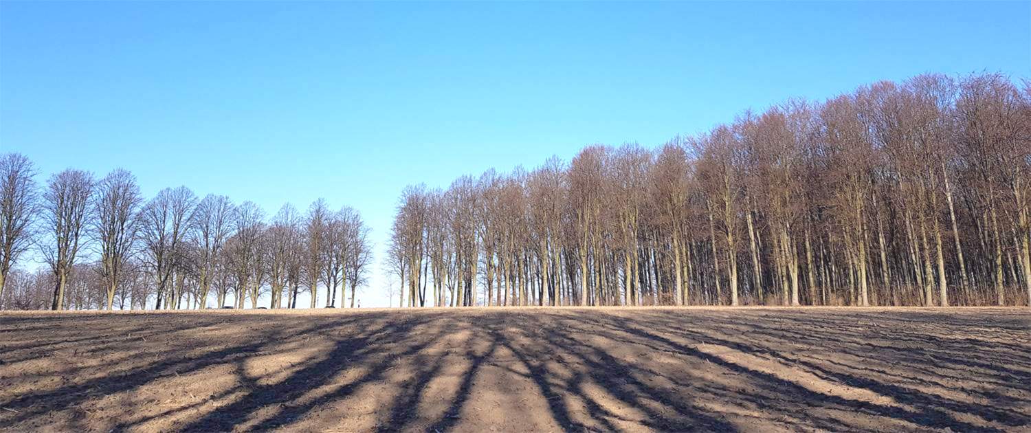 <span class="pict1">Hypnose-Therapie als Hilfe gegen Ihre <strong>Ängste</strong>.<br>Vereinbaren Sie einen Termin oder fordern Sie mehr Informationen an:</span> Mehr Informationen …